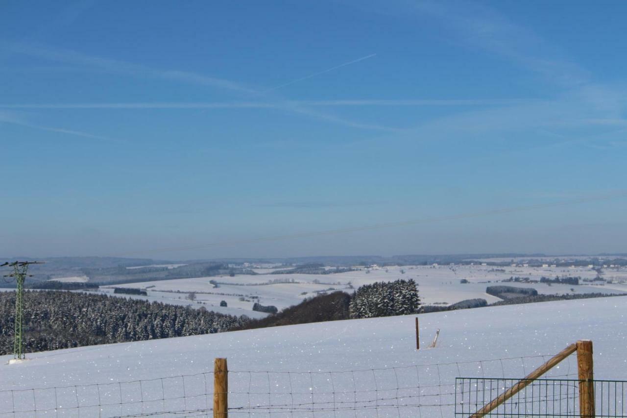 Kobscheid Eifel Dream Schneifelhausヴィラ エクステリア 写真